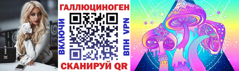 где купить   Ельня  даркнет формула  Галлюциногенные грибы ЛСД 